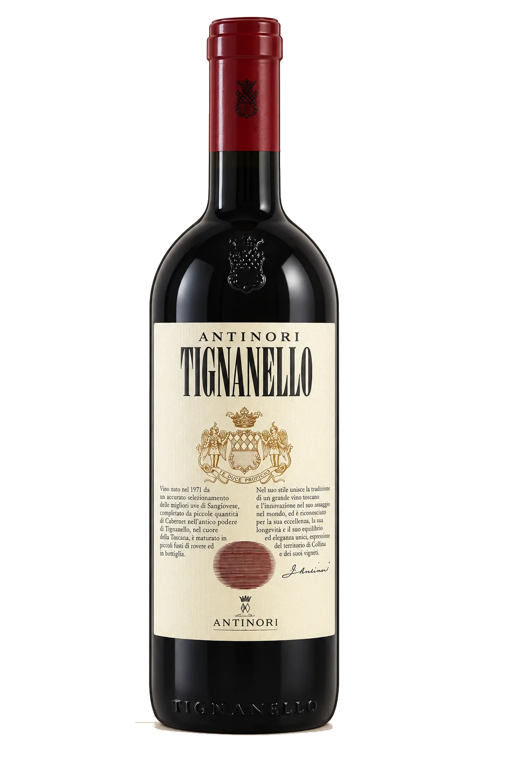 Representative Antinori Tignanello bottle illustration