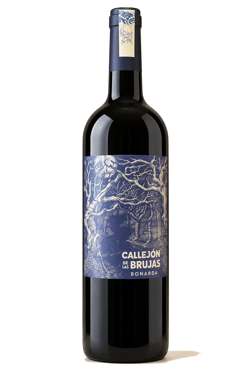 Representative Callejón de las Brujas Bonarda bottle illustration
