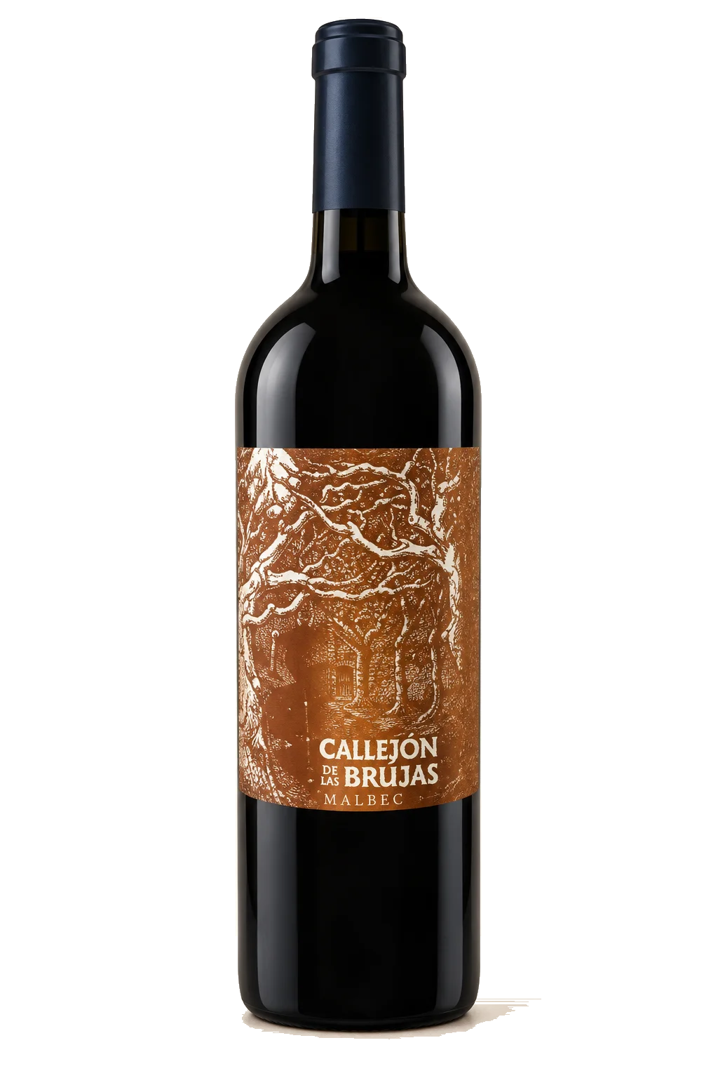 Representative Callejón de las Brujas Malbec bottle illustration