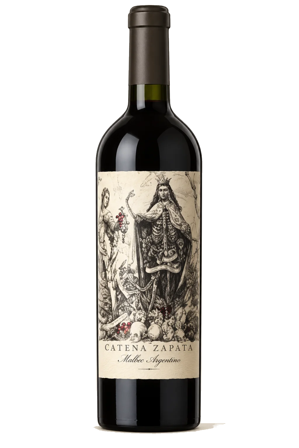 Representative Catena Zapata Malbec Argentino bottle illustration