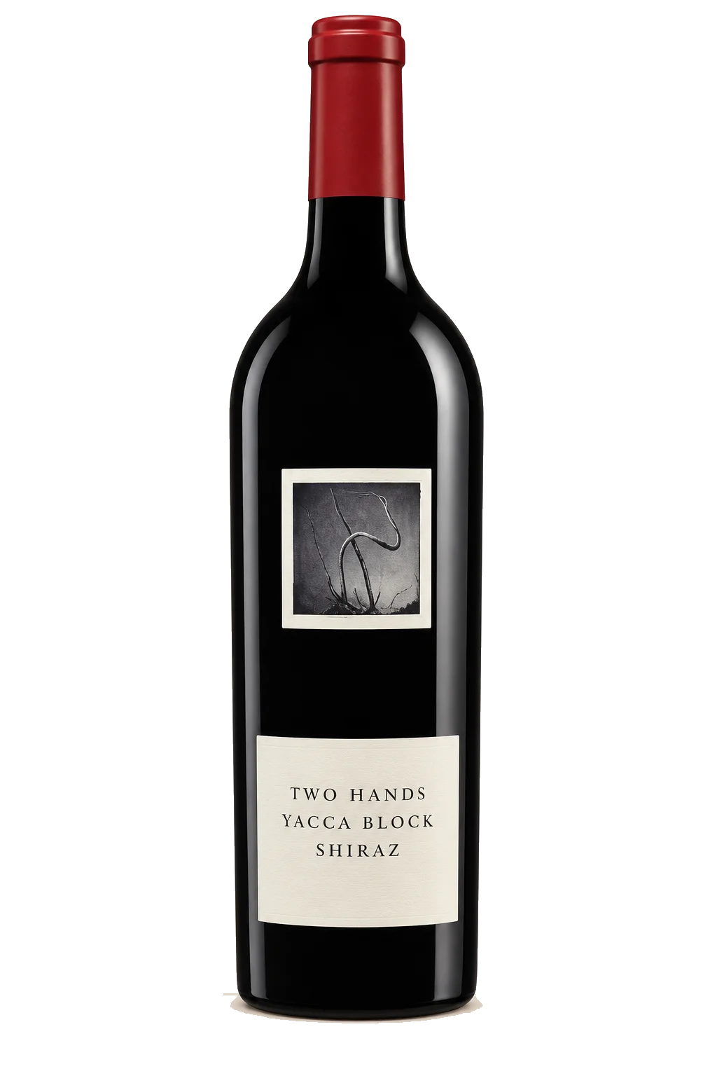 Representative Two Hands Yacca Block Shiraz bottle illustration